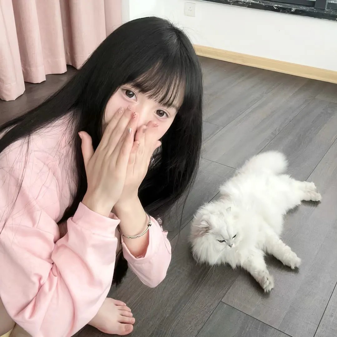猫头鹰之森